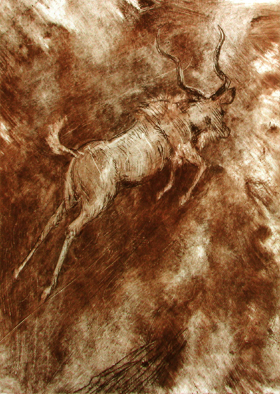 Bild Springender Kudu von Uli Aschenborn